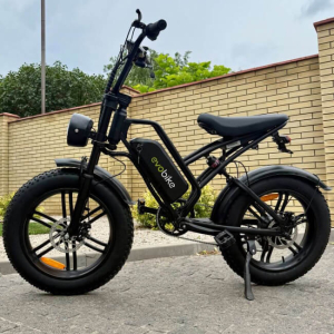 Электровелосипед (Электрофетбайк) EVOBIKE e-Motion V9 (60V 21Ah 1000W) Черный 2026 года изготовления