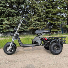 Електровелосипед EVOBIKE Grizzly X3 PRO 2500W 48V 24Ah триколісний, чорний, Фото 2