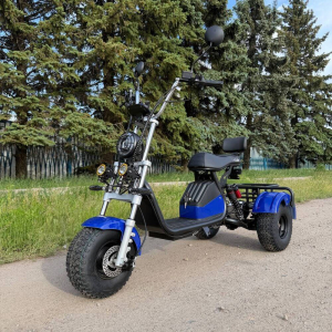 Електровелосипед EVOBIKE Grizzly X3 PRO 2500W 48V 24Ah триколісний, синій