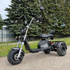 Електровелосипед EVOBIKE Grizzly X3 PRO 2500W 48V 24Ah триколісний, карбон, Фото 1