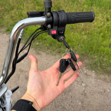 Електровелосипед EVOBIKE Grizzly X3 PRO 2500W 48V 24Ah триколісний, карбон, Фото 4