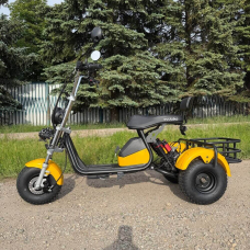 Електровелосипед EVOBIKE Grizzly X3 PRO 2500W 48V 24Ah триколісний, жовтий, Фото 4