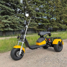 Електровелосипед EVOBIKE Grizzly X3 PRO 2500W 48V 24Ah триколісний, жовтий, Фото 1